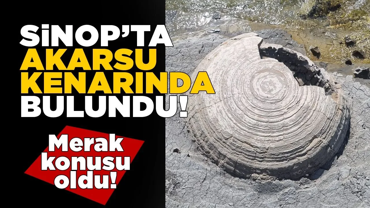 Sinop’ta bulunan küre şeklindeki oluşum merak konusu oldu