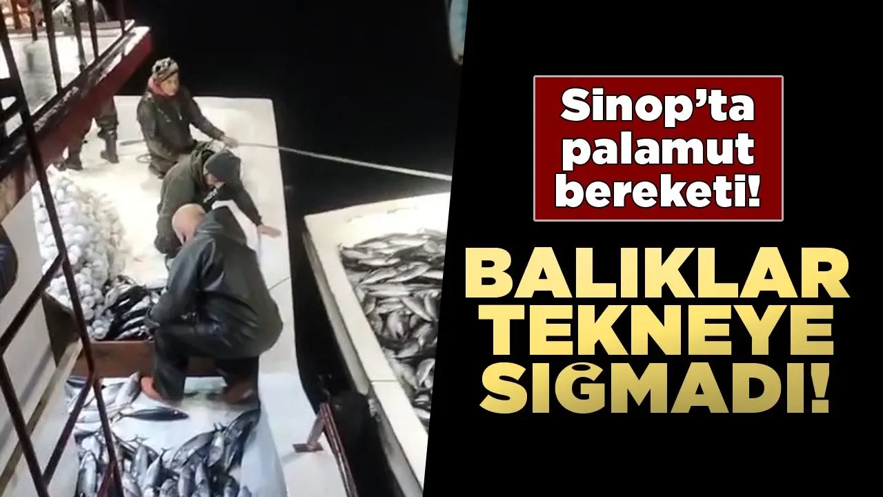 Palamutlar tekneye sığmadı, yardıma başka tekne geldi